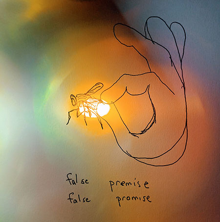 False Premise - False Promise