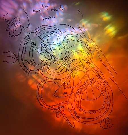 Two Too Colourful Snakes